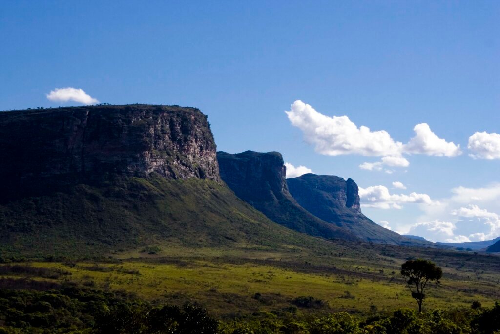 Turismo de Conhecimento: Observação de Aves na Chapada Diamantina - Guia  Chapada DiamantinaNotícias