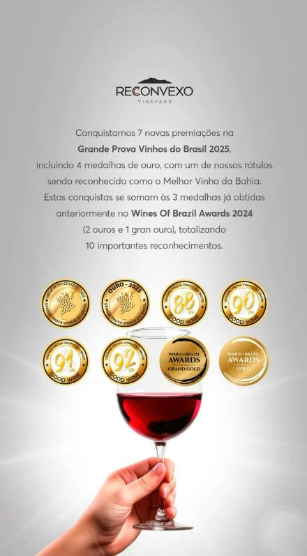 Vinhos da Chapada Diamantina