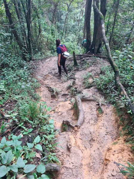 Parque Nacional da Chapada Diamantina